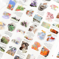 7. Complete Set (10% OFF)