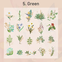 5.Verde