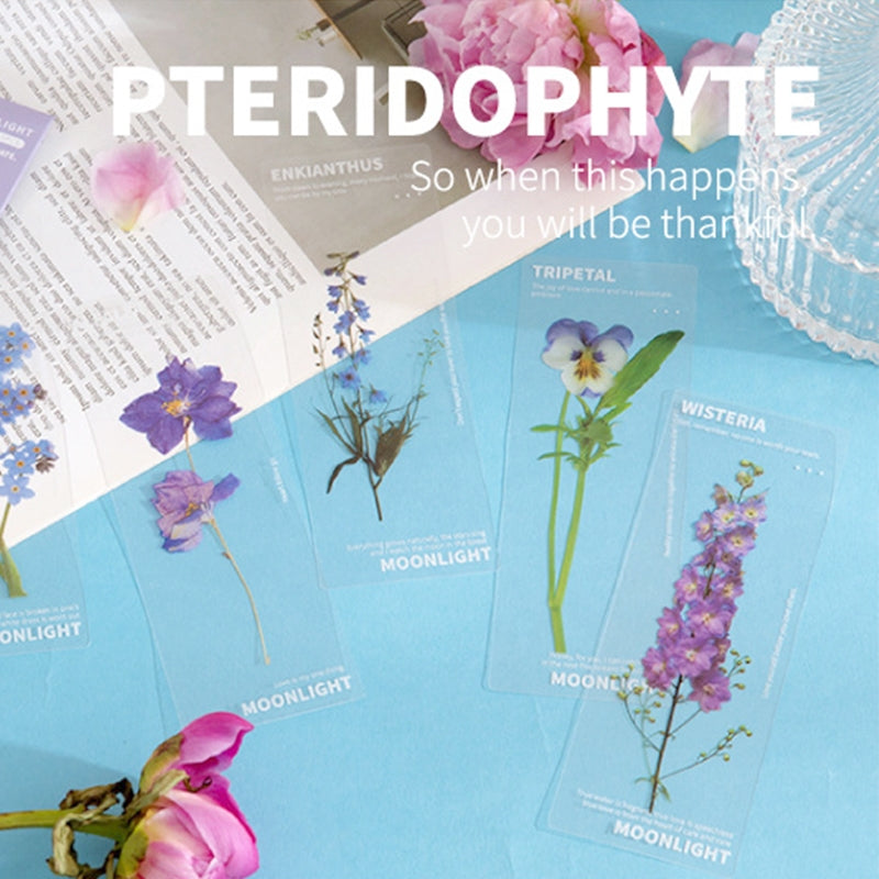 Plant and Flower PET Bookmarks - Sunflower, Daffodil, Rose b4