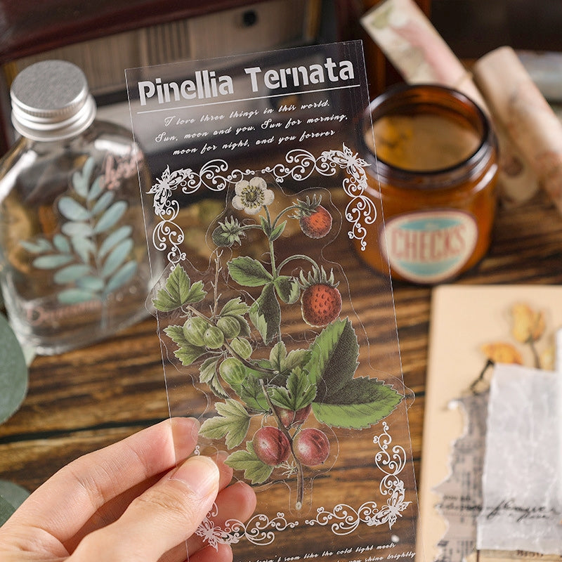 Plant PET Die-cut Stickers - Flower, Fruit, Rose, Tulip, Mushroom, Leaf b2