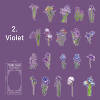 2.Violet