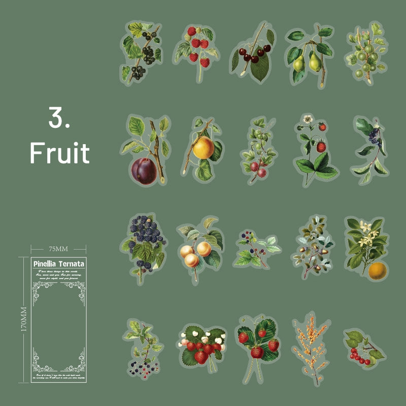 Plant PET Die-cut Stickers - Flower, Fruit, Rose, Tulip, Mushroom, Leaf sku-3