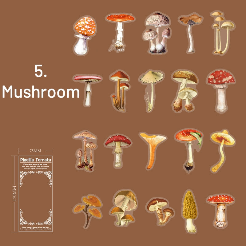 Plant PET Die-cut Stickers - Flower, Fruit, Rose, Tulip, Mushroom, Leaf sku-5