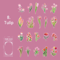 8.Tulip