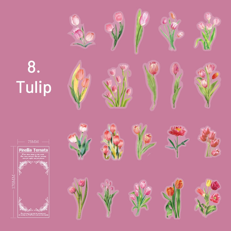 Plant PET Die-cut Stickers - Flower, Fruit, Rose, Tulip, Mushroom, Leaf sku-8