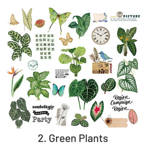 Plant PET Sticker - Fern, Butterfly, Flower, Leaves sku-2