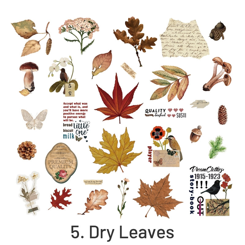 Plant PET Sticker - Fern, Butterfly, Flower, Leaves sku-5