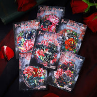 7.Complete Set，10%Off