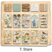 7. Stare