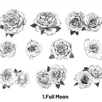 1.Full Moon