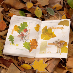 Seasons of Leaves PET Decorative Stickers b3