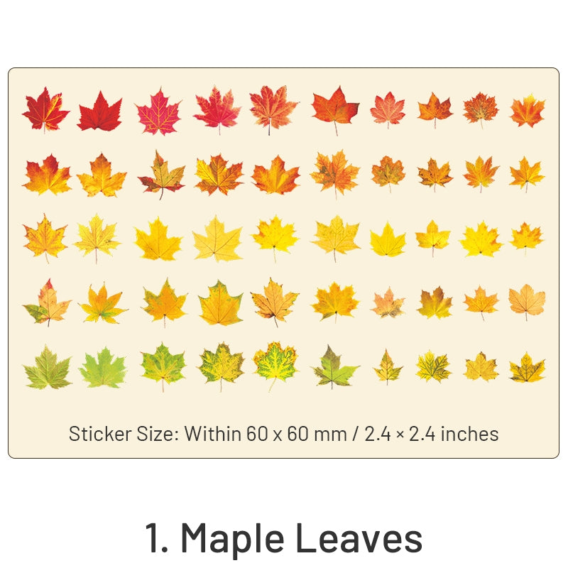 Clear Transparent Leaf Stickers for All Seasons | Stamprints