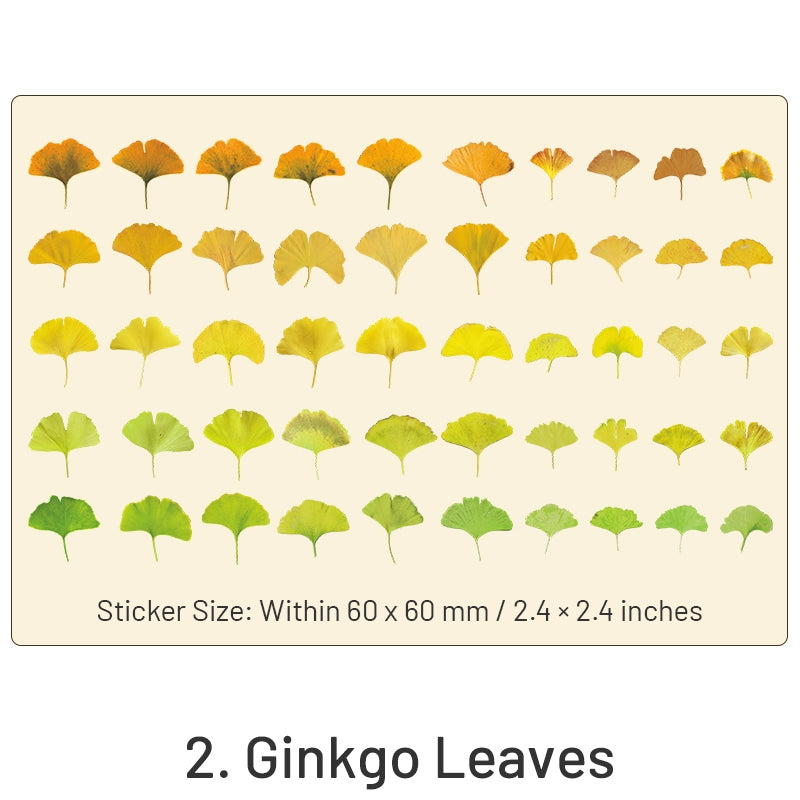 Seasons of Leaves PET Decorative Stickers sku-2