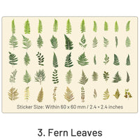 3. Fern Leaves