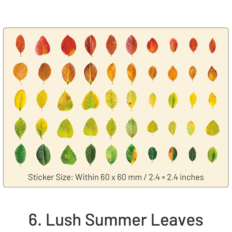 Seasons of Leaves PET Decorative Stickers sku-6