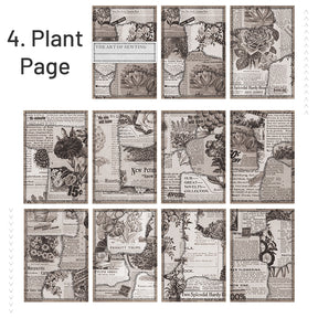 Sewing Art Theme Scrapbook Paper - Plants, Music Notes, Bills sku-4