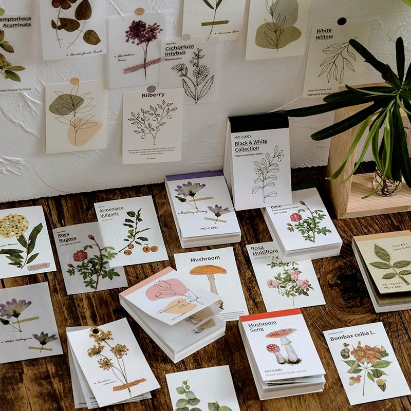 Botanical Decorative Note Paper Set | Minimalist Design by Stamprints