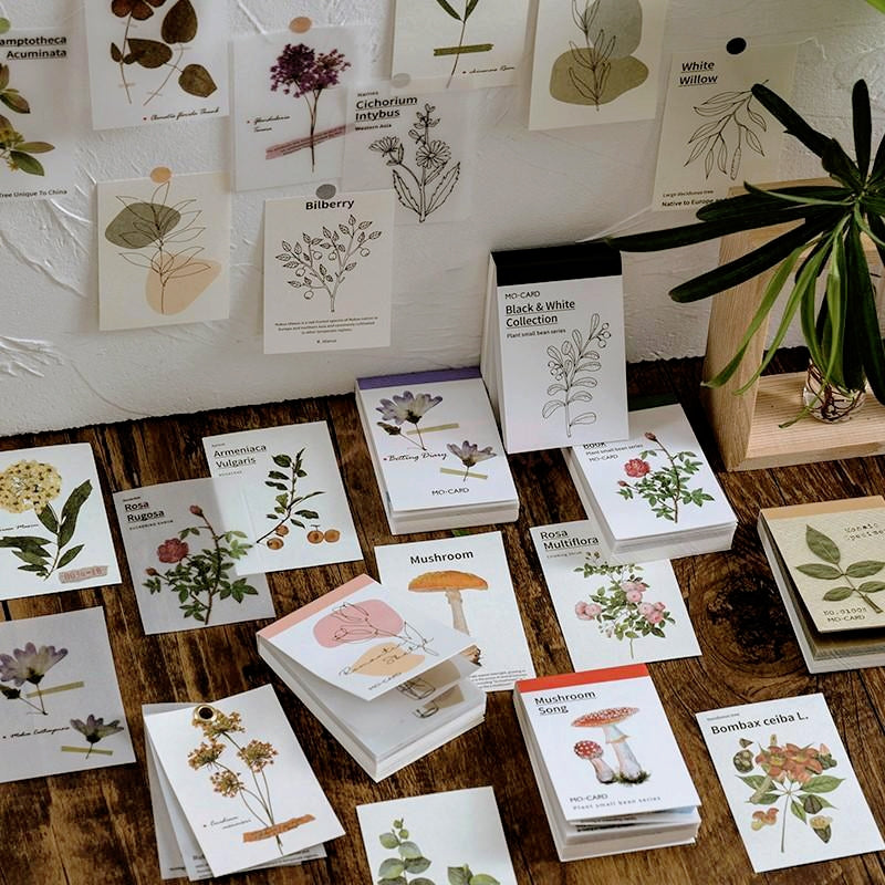 Simple Botanical Decorative Note Paper - Tracing & Lightweight Paper for  Artistic Projects