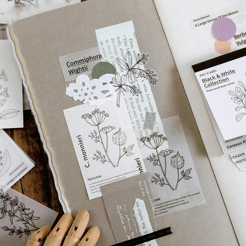 Botanical Decorative Note Paper Set | Minimalist Design by Stamprints