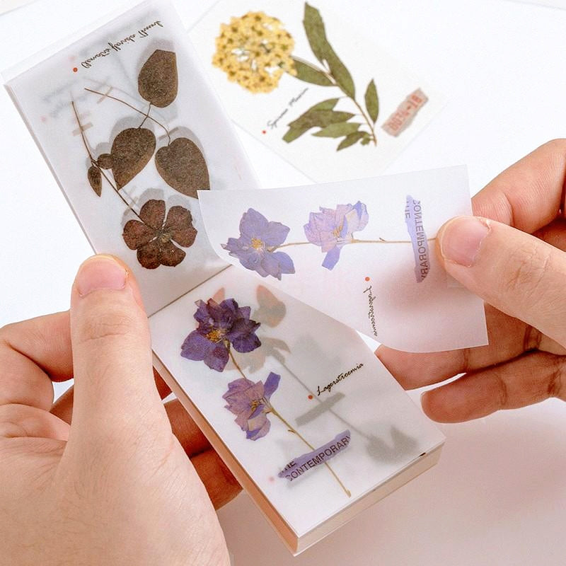 Botanical Decorative Note Paper Set | Minimalist Design by Stamprints