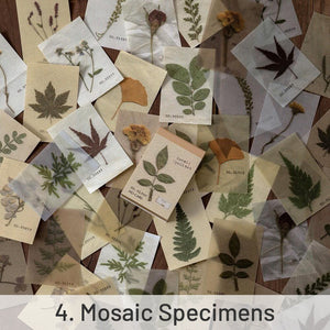 Botanical Decorative Note Paper Set | Minimalist Design by Stamprints