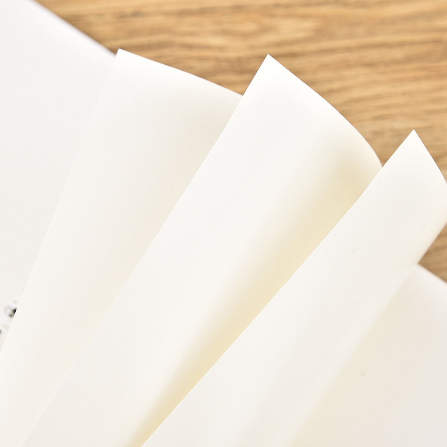 Small Fresh A5 Loose-leaf Coil Release Book 8