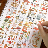 5. Complete Set (10% OFF)
