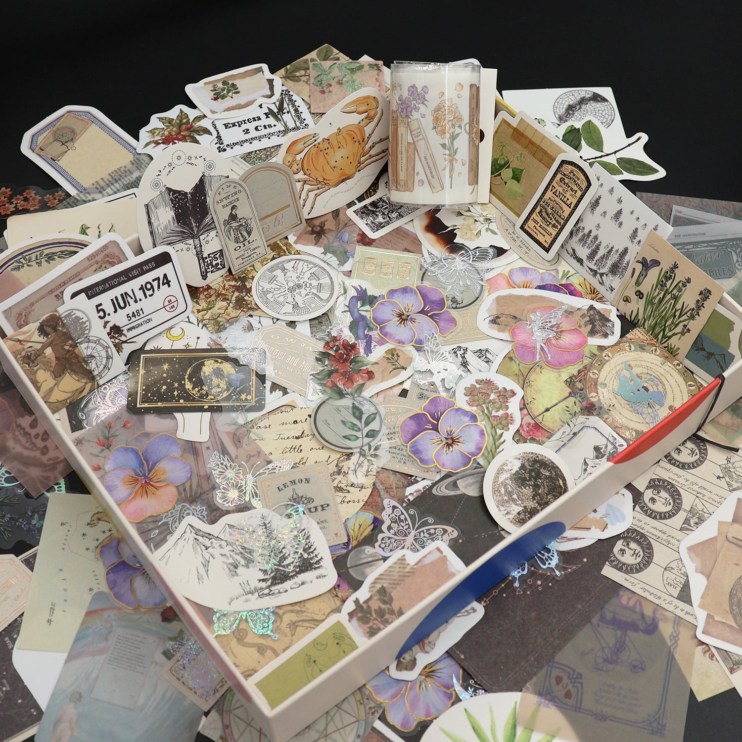 Mystery Box Sticker Pack | Random Sticker Collection by Stamprints