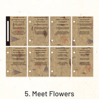 5. Meet Flowers
