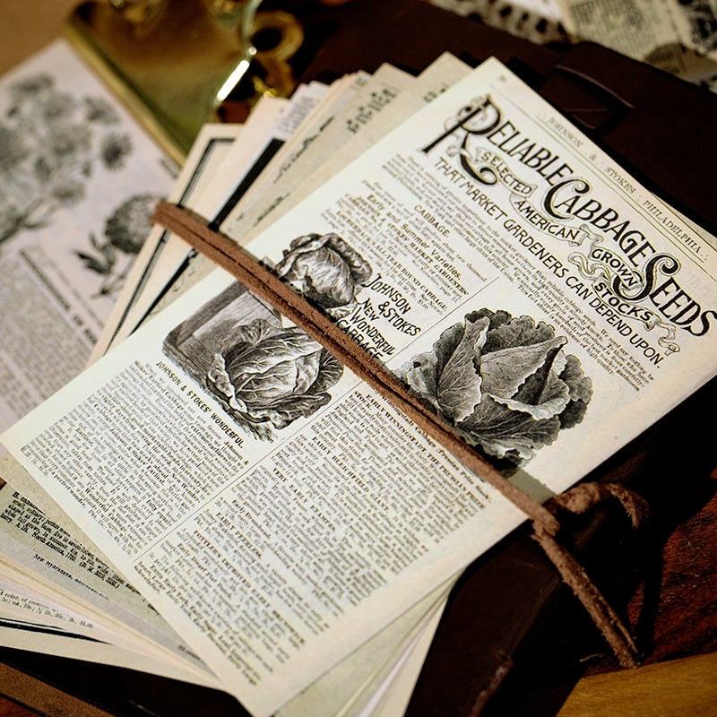 Time Travel Series Vintage Scrapbook Paper Book b4