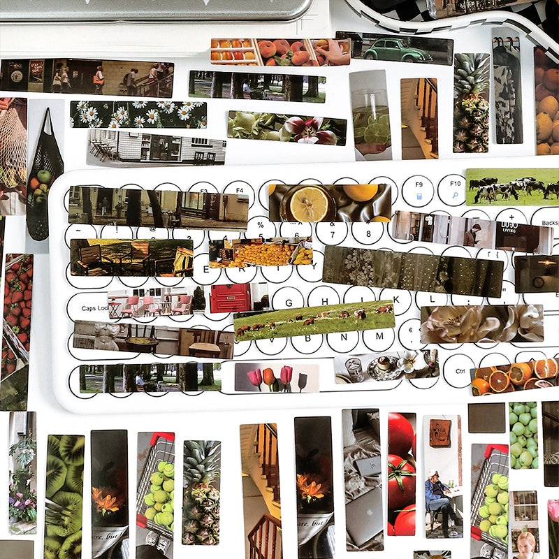 Travel Long Strip Stickers - Fruit, Vacation, Flowers, Afternoon Tea b8