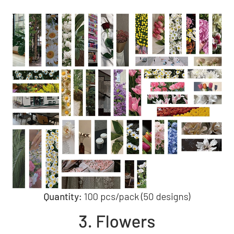 Travel Long Strip Stickers - Fruit, Vacation, Flowers, Afternoon Tea sku-3