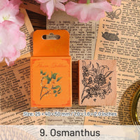 9. Osmanthus