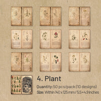 4. Plant