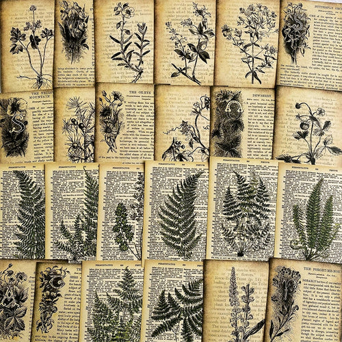 Vintage Botanical Notes Scrapbook Paper HighDefinition PlantThemed