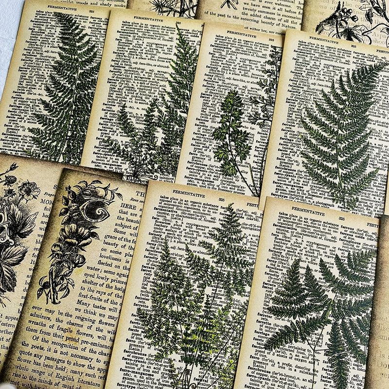 Vintage Botanical Notes Scrapbook Paper b4