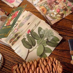 Vintage Christmas Sticker Book - Flowers, Butterflies, Food, Posters, Christmas b2