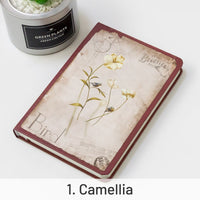 1. Camellia