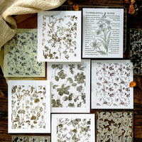 7. Complete Set (10% OFF)