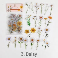 3. Daisy