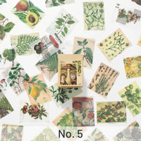 No. 5