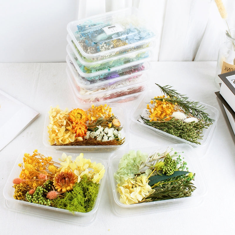 Air-Dried Real Flower Boxed Preserved Floral Material Pack b