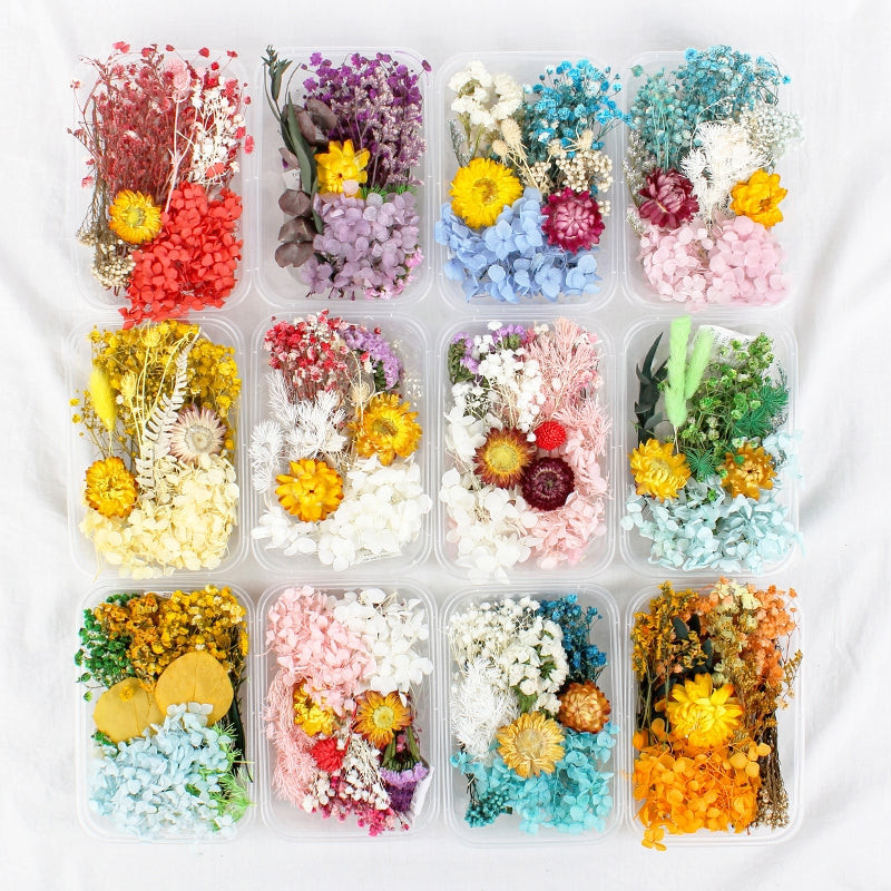 Air-Dried Real Flower Boxed Preserved Floral Material Pack b2