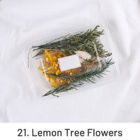 21. Lemon Tree Flowers