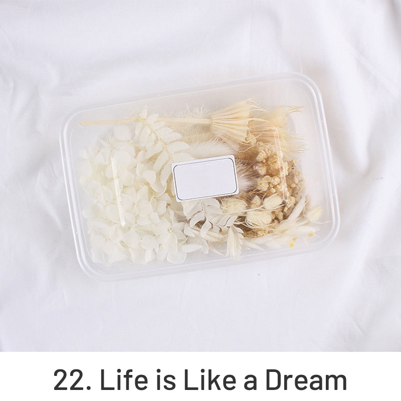 Air-Dried Real Flower Boxed Preserved Floral Material Pack sku-22