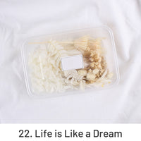 22. Life is Like a Dream