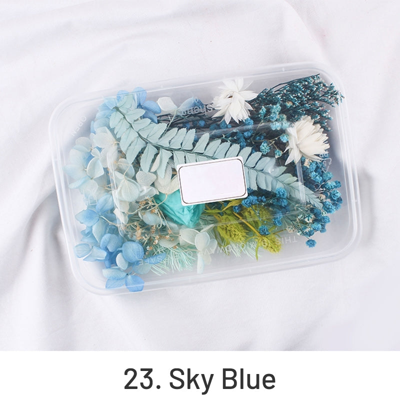 Air-Dried Real Flower Boxed Preserved Floral Material Pack sku-23