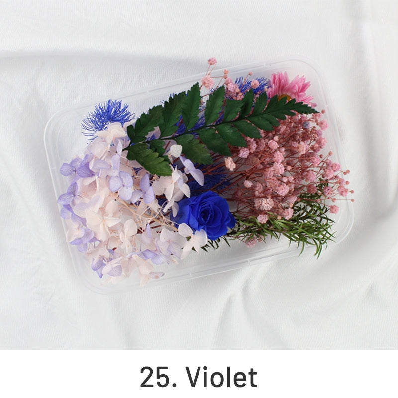 Air-Dried Real Flower Boxed Preserved Floral Material Pack sku-25