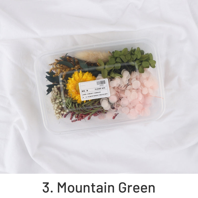 Air-Dried Real Flower Boxed Preserved Floral Material Pack sku-3