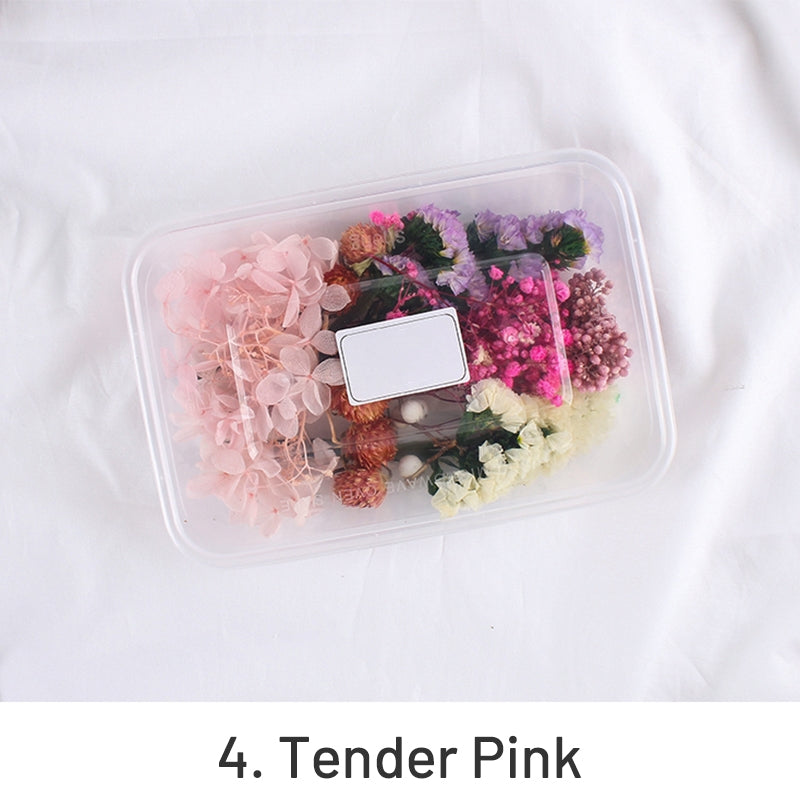 Air-Dried Real Flower Boxed Preserved Floral Material Pack sku-4